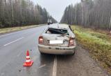 Фото: Госавтоинспекция Вологодской области