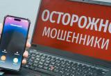Фото: "Череповец-Поиск" Фото: "Череповец-Поиск"