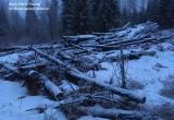 Фото: УФСБ России по Вологодской области