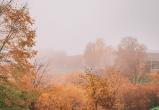 Фото: "Череповец-Поиск" Фото: "Череповец-Поиск"