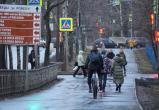Фото: "Череповец-Поиск" Фото: "Череповец-Поиск"
