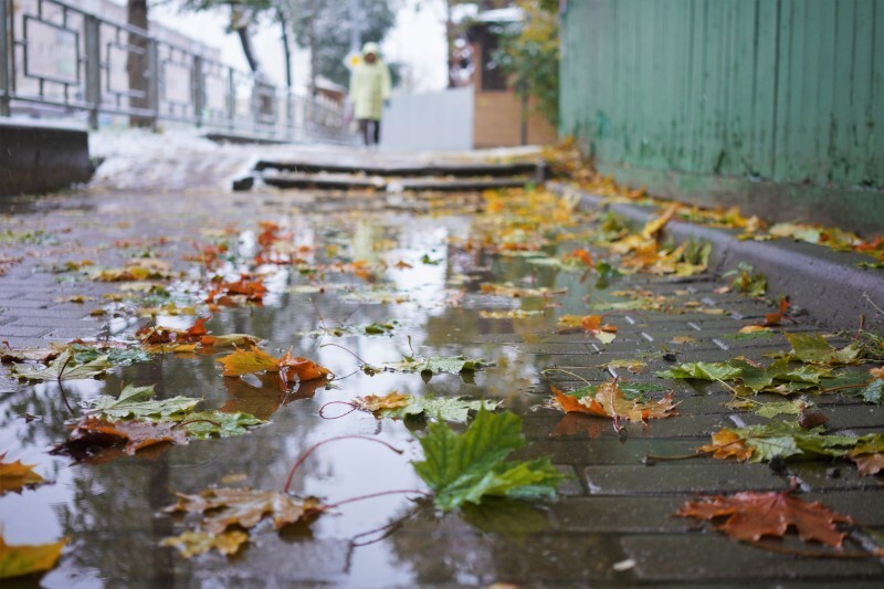 Осеннее обострение варикоза: как помочь венам ног и избежать проявлений болезни