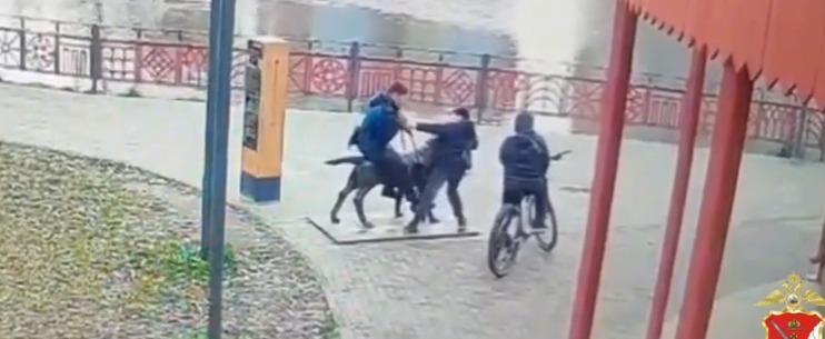 Фото: скриншот видео пресс-службы региональной полиции