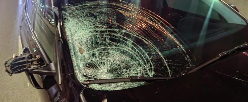 Фото: УМВД России по Вологодской области