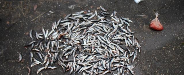 Фото: УТ МВД России по СЗФО