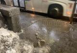 Фото: "Череповец-Поиск"