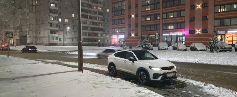 Фото: Госавтоинспекция Череповца