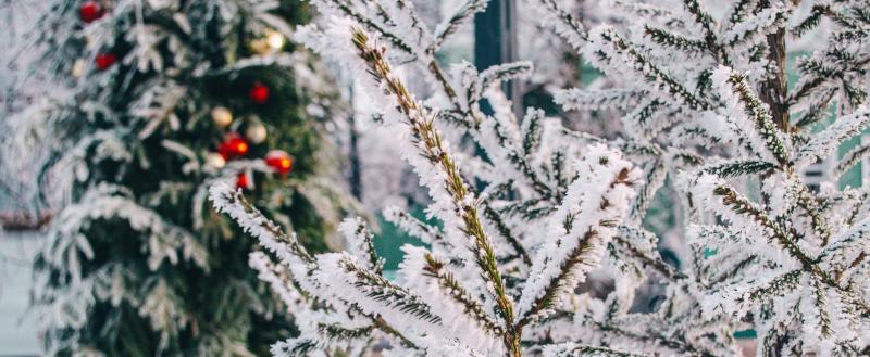 Череповец-Поиск