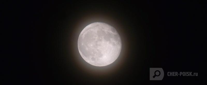 Череповец-Поиск