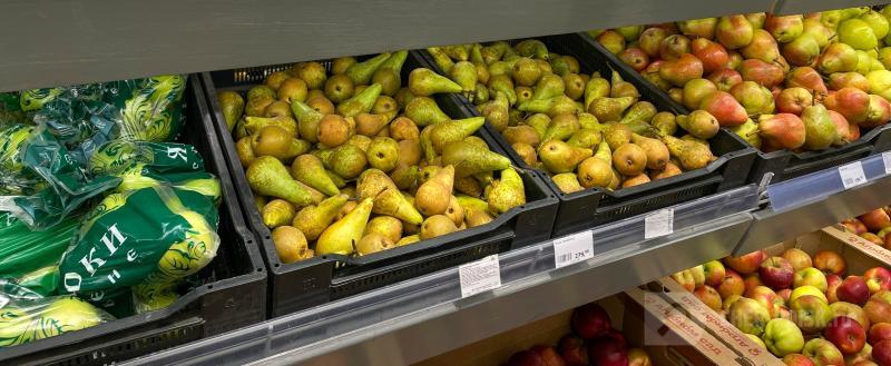 Череповец-Поиск