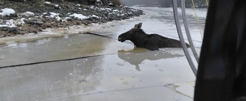 спасательная служба