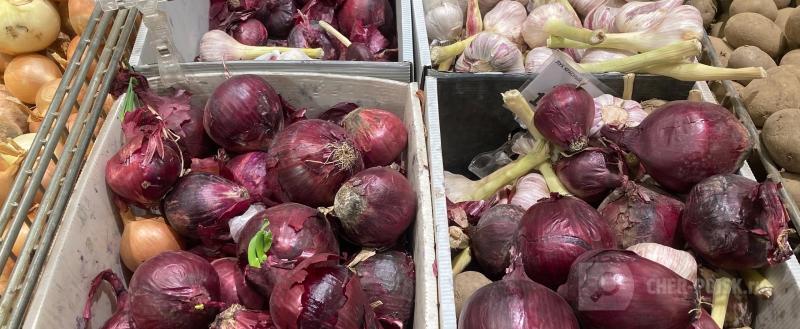 Череповец-Поиск