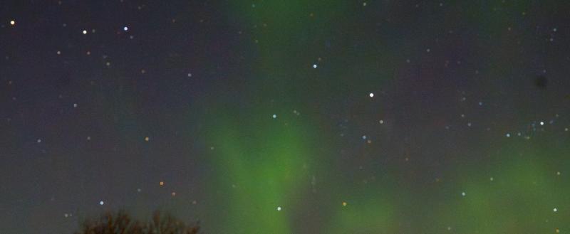 Череповец-Поиск