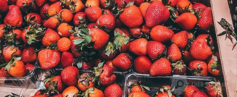 Череповец-Поиск