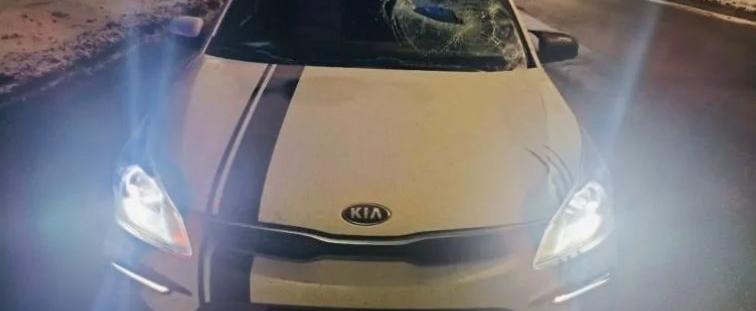 Фото: Госавтоинспекция Череповца