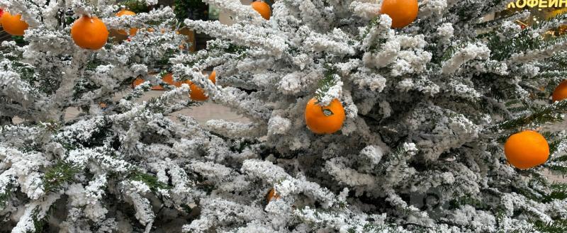 Череповец-Поиск