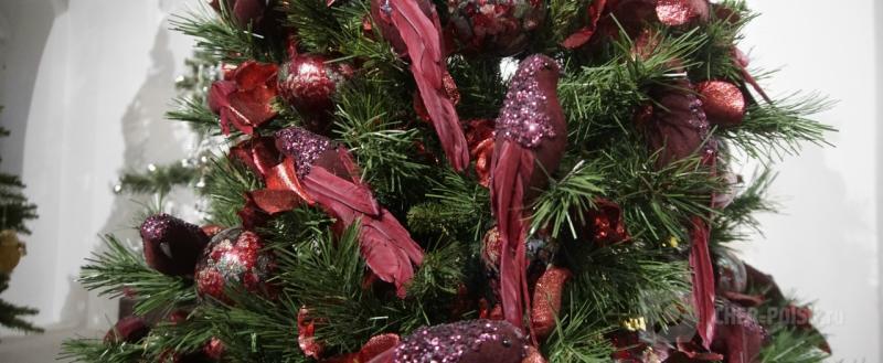 Череповец-Поиск