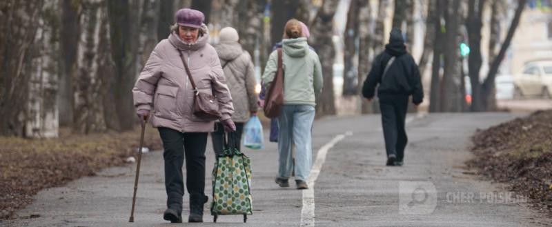 Череповец-Поиск