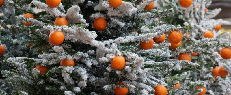 Череповец-Поиск