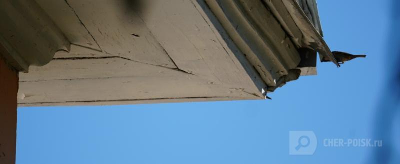 Череповец-Поиск