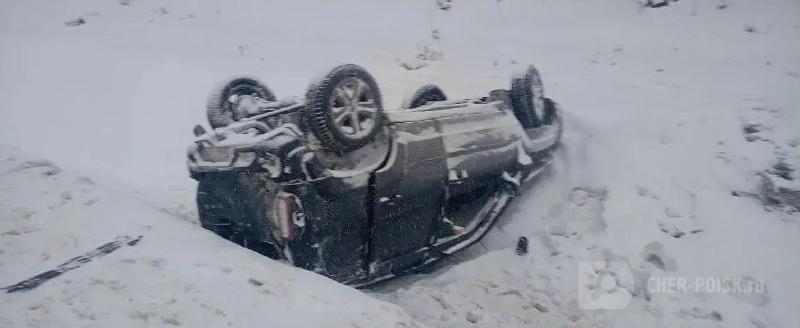 Череповец-Поиск