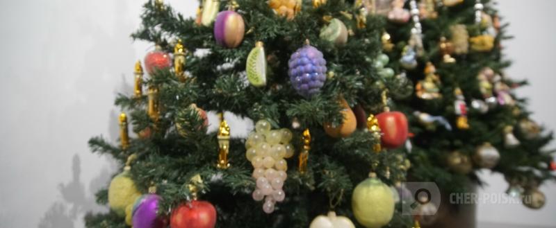 Череповец-Поиск