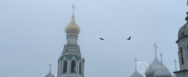 Череповец-Поиск