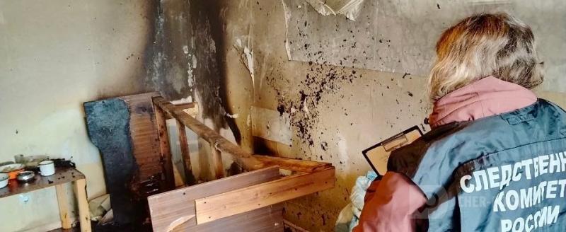 Череповец-Поиск