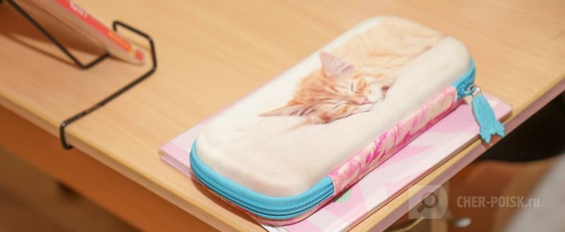 Череповец-Поиск