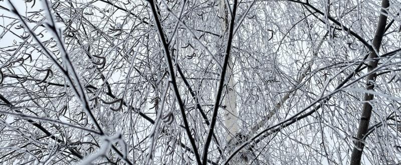 Череповец-Поиск