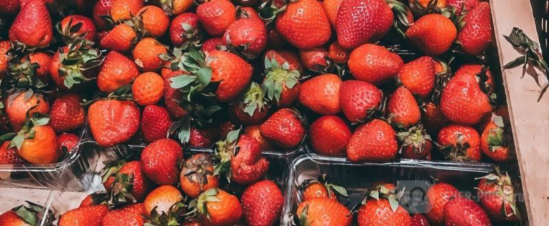 Череповец-Поиск