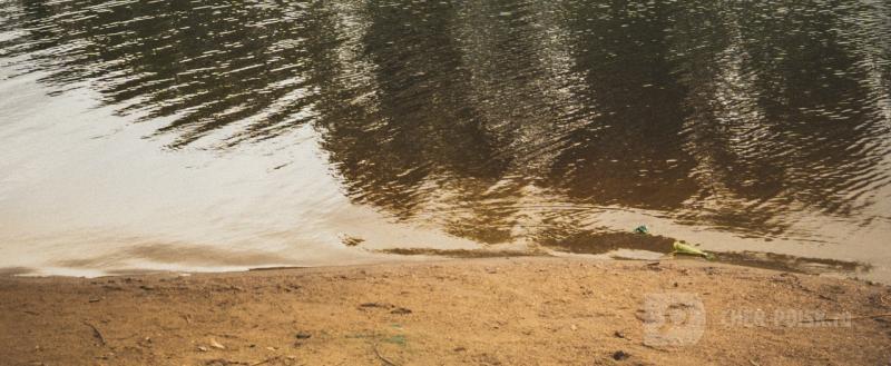 Череповец-Поиск