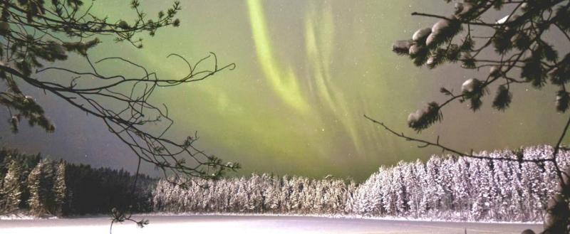 Череповец-Поиск