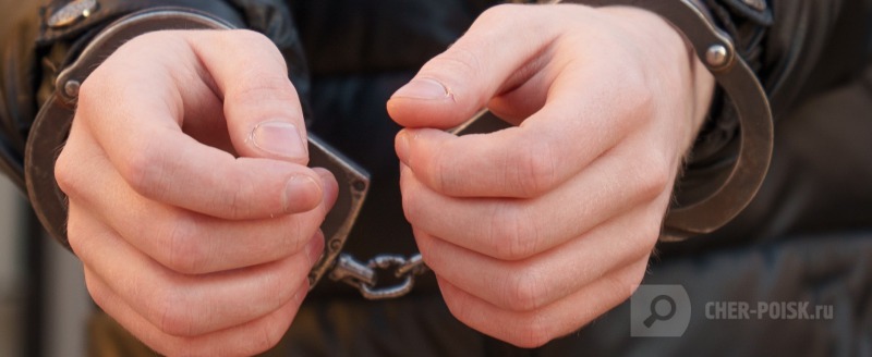 Череповец-Поиск