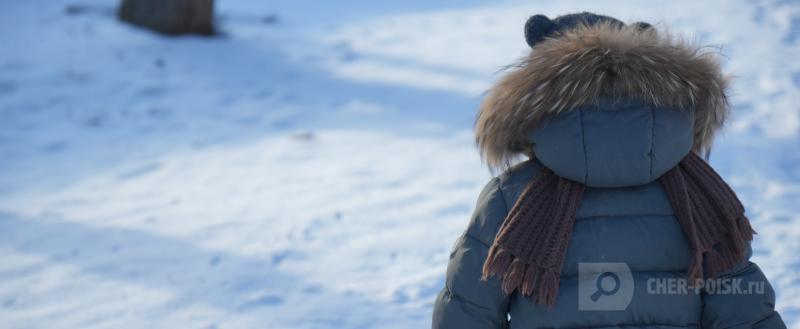 фото: Вологда-поиск