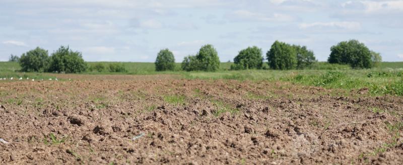 фото: Вологда-поиск