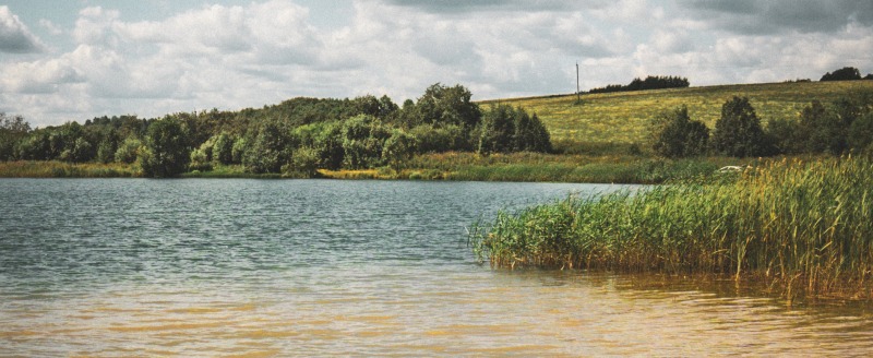 Череповец-Поиск