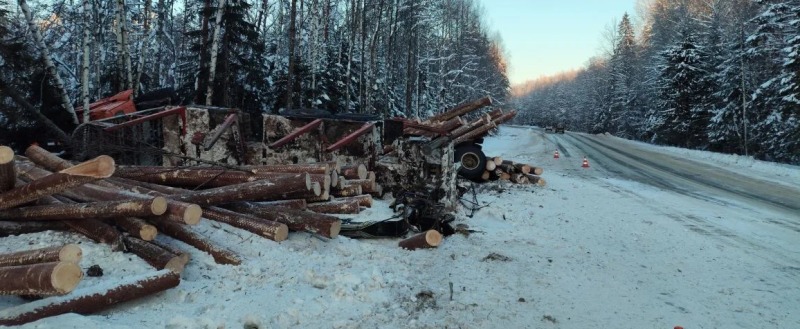 Полиция Вологодской области 