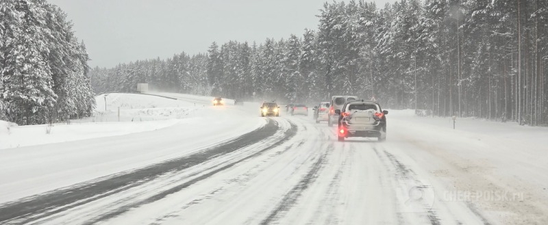 Череповец-Поиск