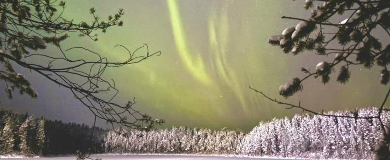 Череповец-Поиск