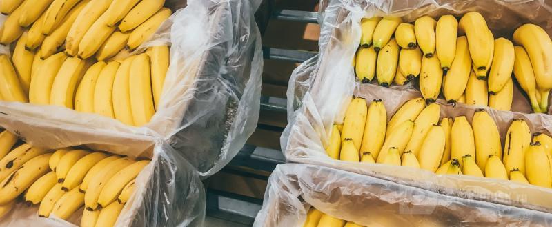 Череповец-Поиск