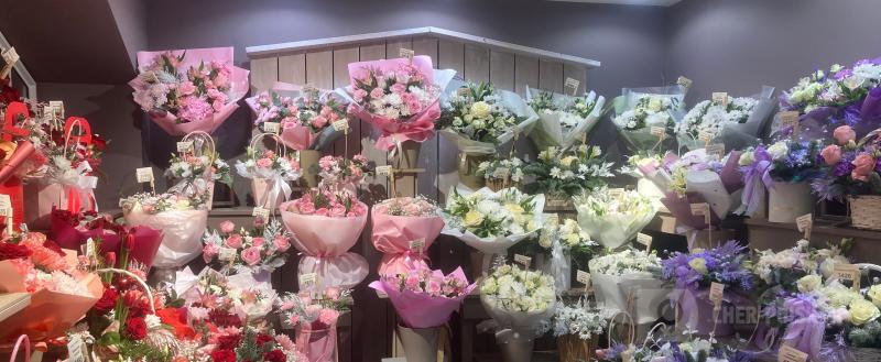 Череповец-Поиск