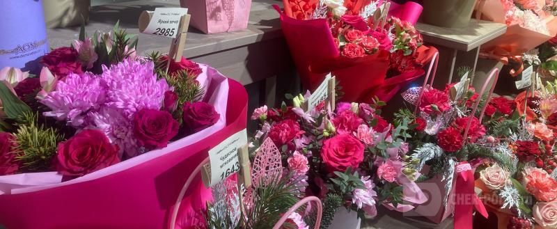 Череповец-Поиск