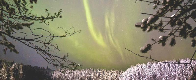 Череповец-Поиск