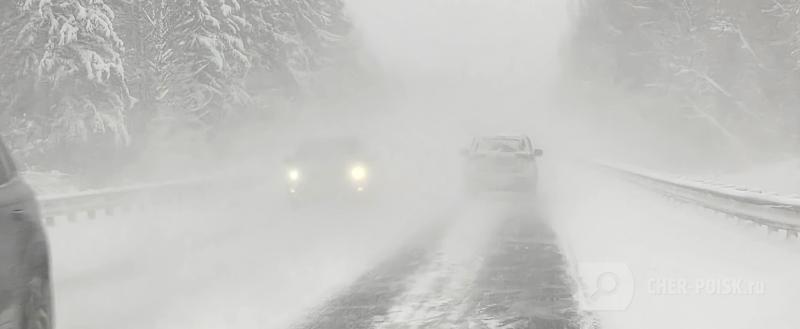 Череповец-Поиск