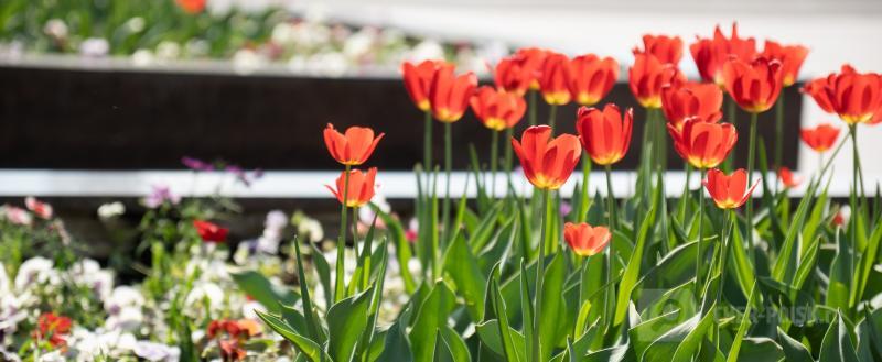 Череповец-Поиск