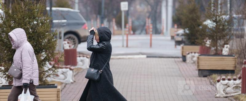 Череповец-Поиск