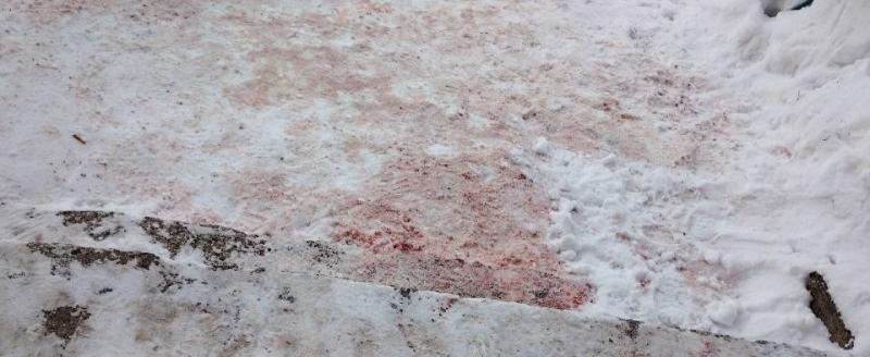 ПРО Полиция.Вологодская область