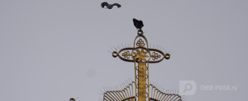 Череповец-Поиск