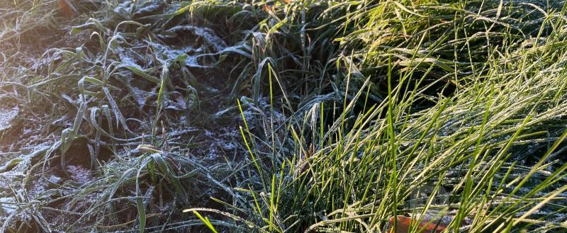 Череповец-Поиск